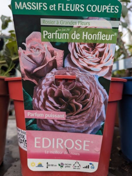 ROSIER-PARFUM DU HONFLEUR ROSIER-PARFUM DU HONFLEUR
