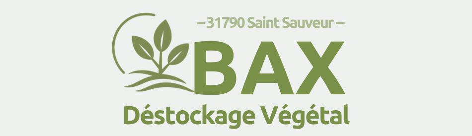 BAX FLEURS & PLANTES