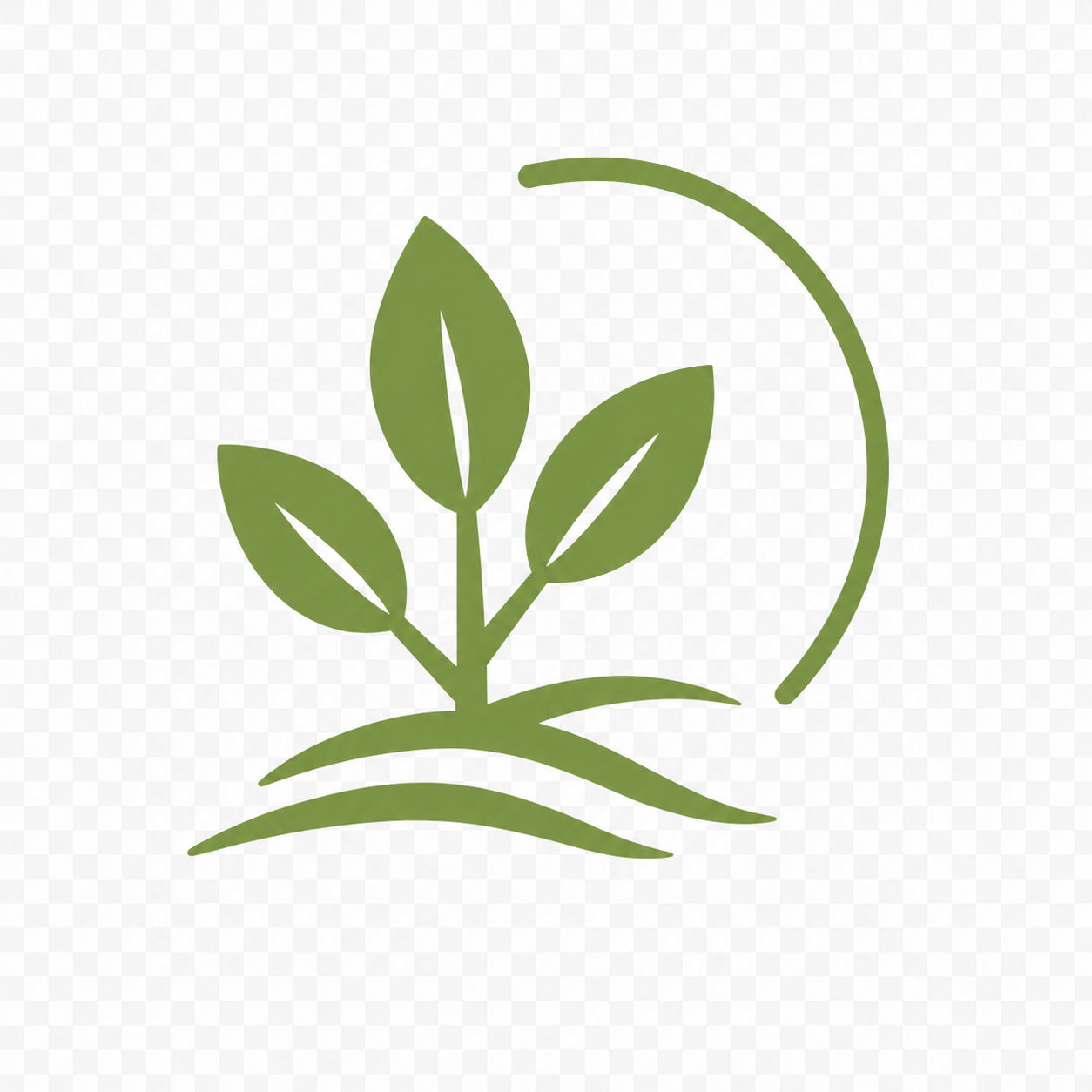 BAX FLEURS & PLANTES